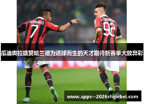 瓜迪奥拉盛赞哈兰德为进球而生的天才期待新赛季大放异彩